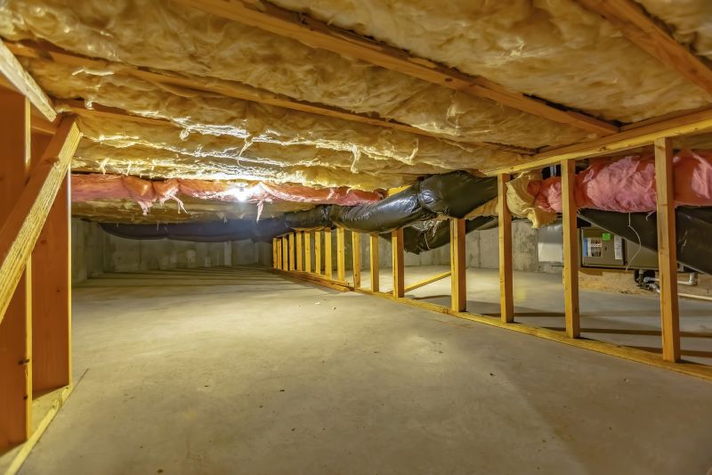 Finished Crawlspace with Encapsulation